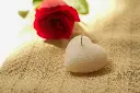 DSC00704.webp