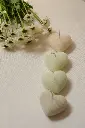 DSC00743.webp