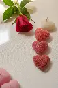 DSC00739.webp