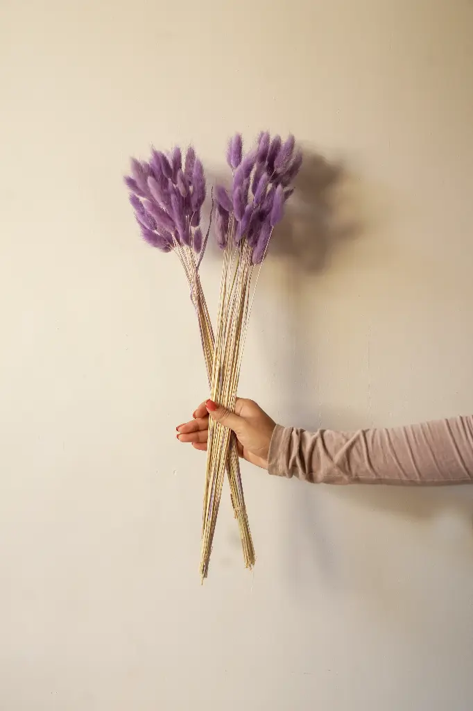 Purple bunny tail