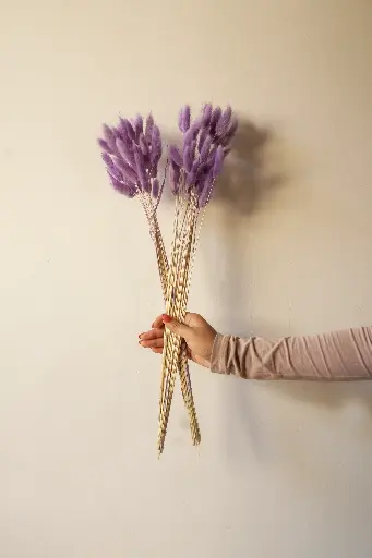 Purple bunny tail
