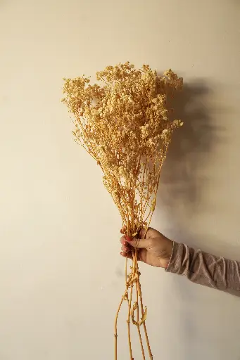 Natural baby's breath